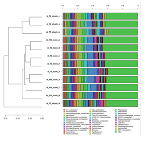 Hierarchical cluster